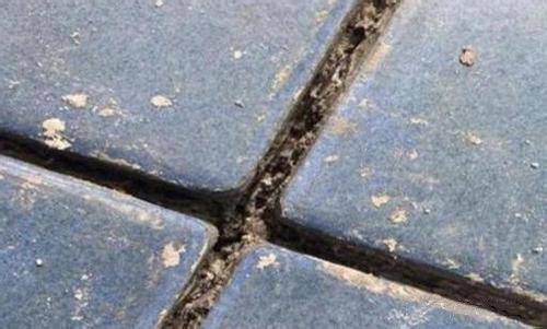 鄭州辦公室裝修|幼兒園裝修設(shè)計(jì)|教育培訓(xùn)裝修|售樓部裝修|酒店餐廳裝修設(shè)計(jì)-深圳宏鈺堂裝飾鄭州分公司 鄭州辦公室裝修|幼兒園裝修設(shè)計(jì)|教育培訓(xùn)裝修|售樓部裝修|酒店餐廳裝修設(shè)計(jì)-深圳宏鈺堂裝飾鄭州分公司