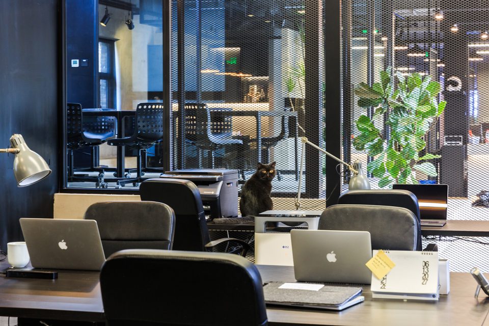 辦公室辦公區(qū)裝修 辦公室辦公區(qū)裝修