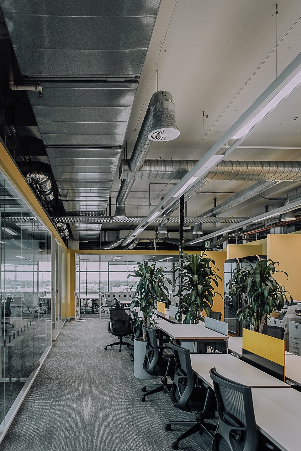 辦公室辦公區(qū)裝修實景圖 辦公室辦公區(qū)裝修實景圖